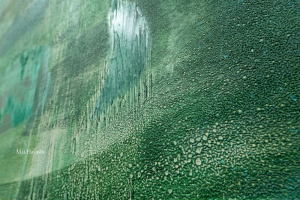 作品部分